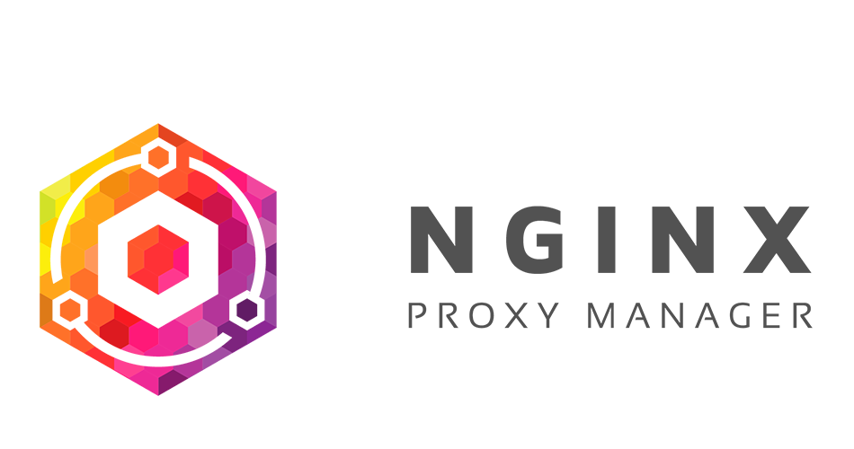 Nginx Proxy Manager - установка SSL и прокси на unRAID 6.8.3 1